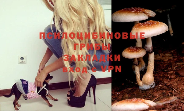 эйфоретик Волоколамск