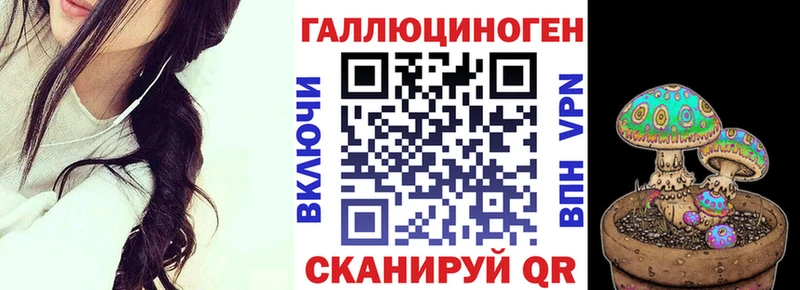 купить наркоту Егорьевск KRAKEN зеркало Псилоцибиновые грибы Psilocybine cubensis