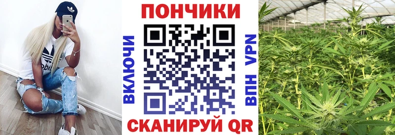это официальный сайт  Егорьевск  Канабис ГИДРОПОН 
